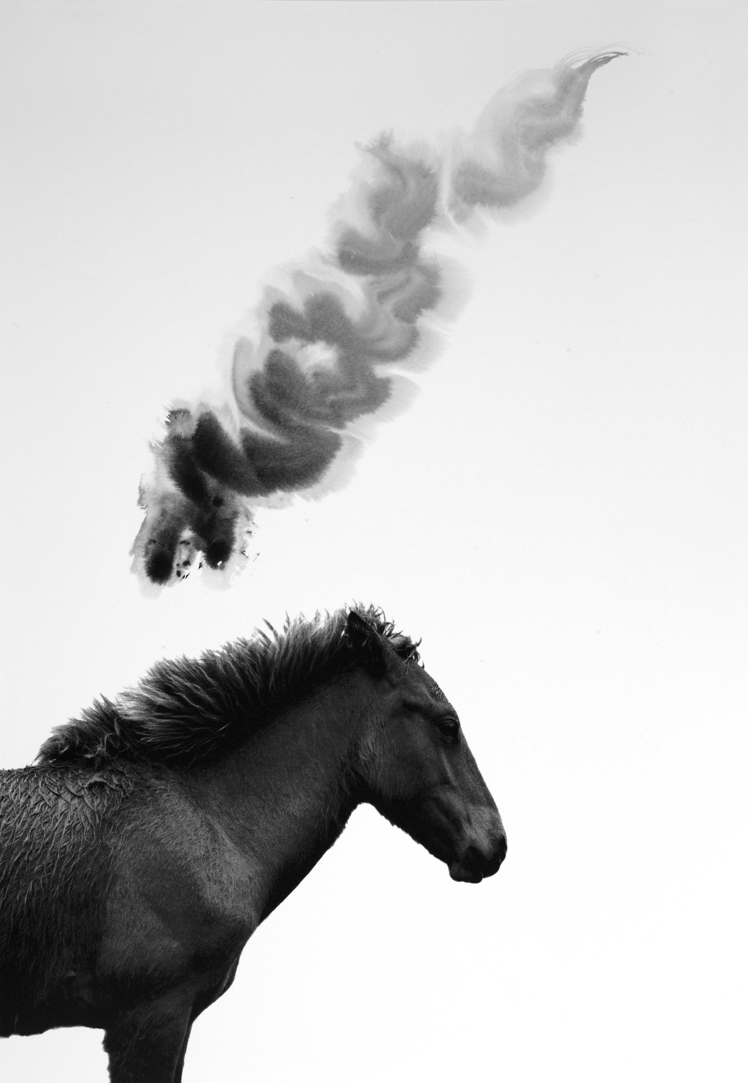 Gris 8