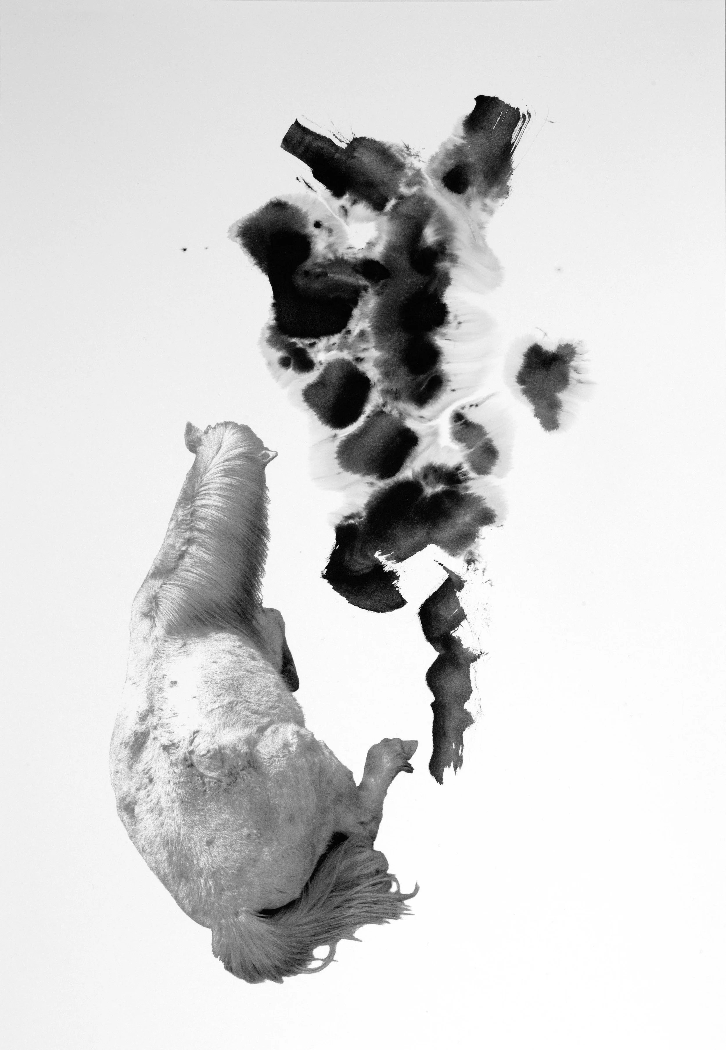 Blanc 8
