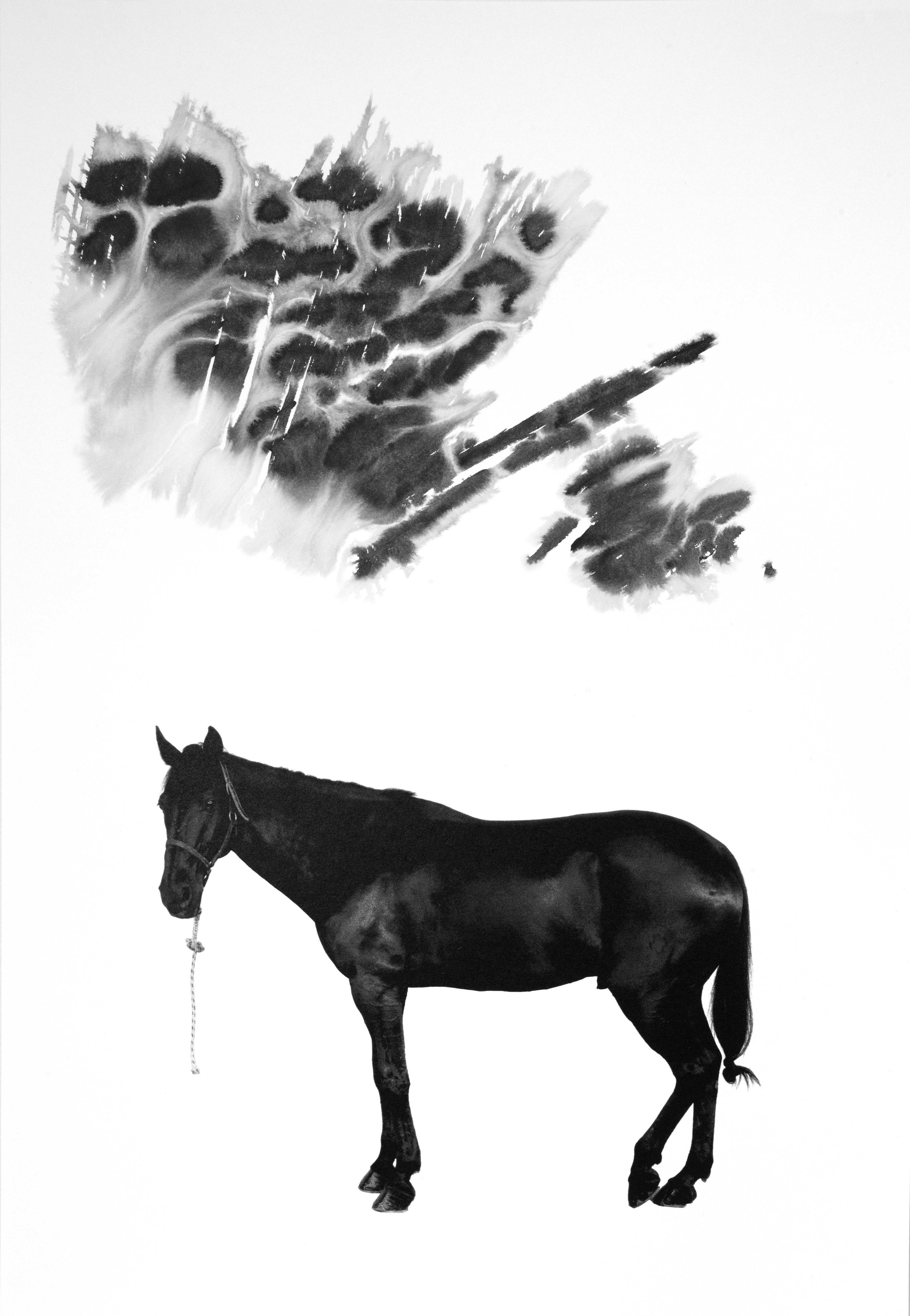 Noir 13