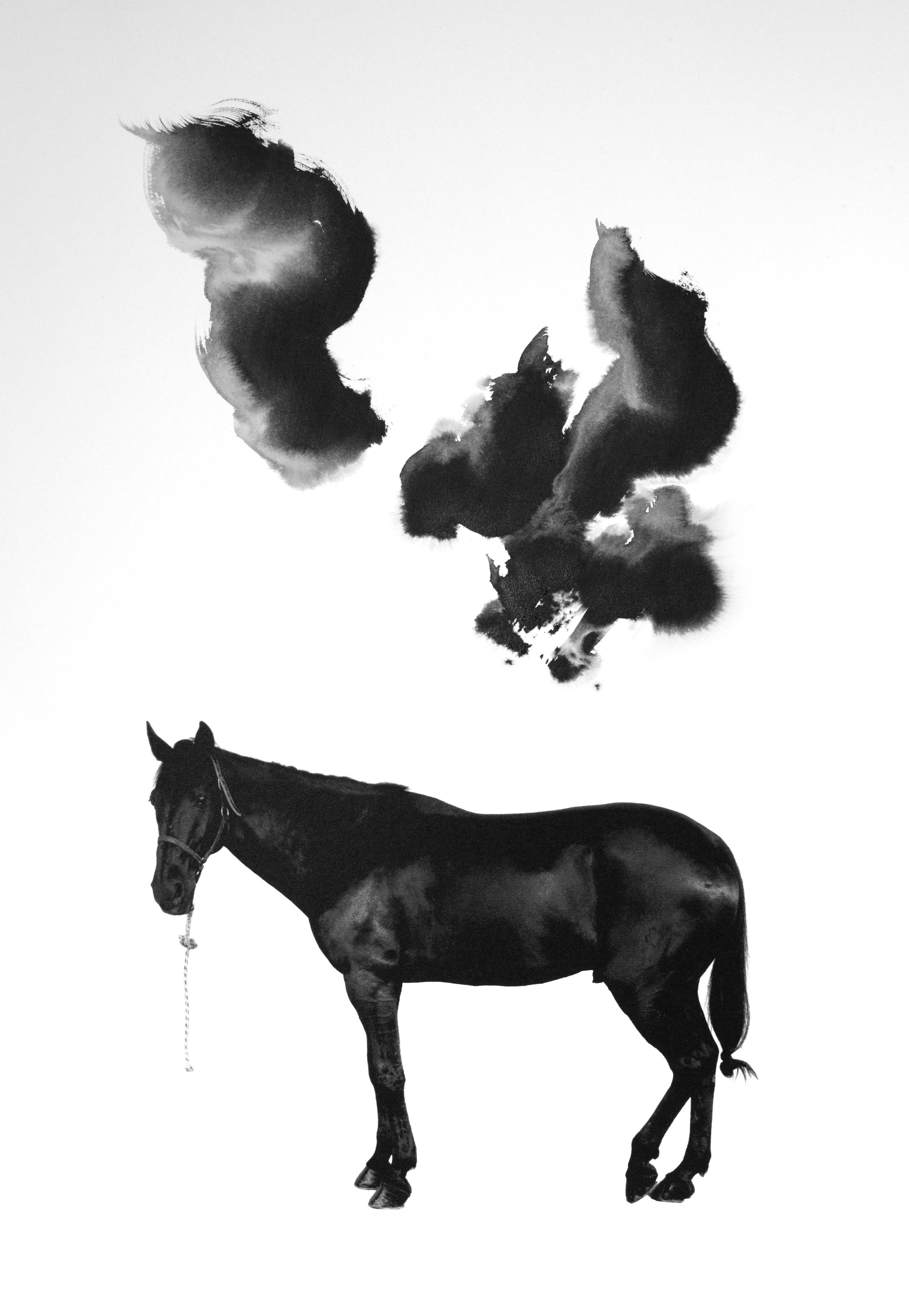 Noir 15