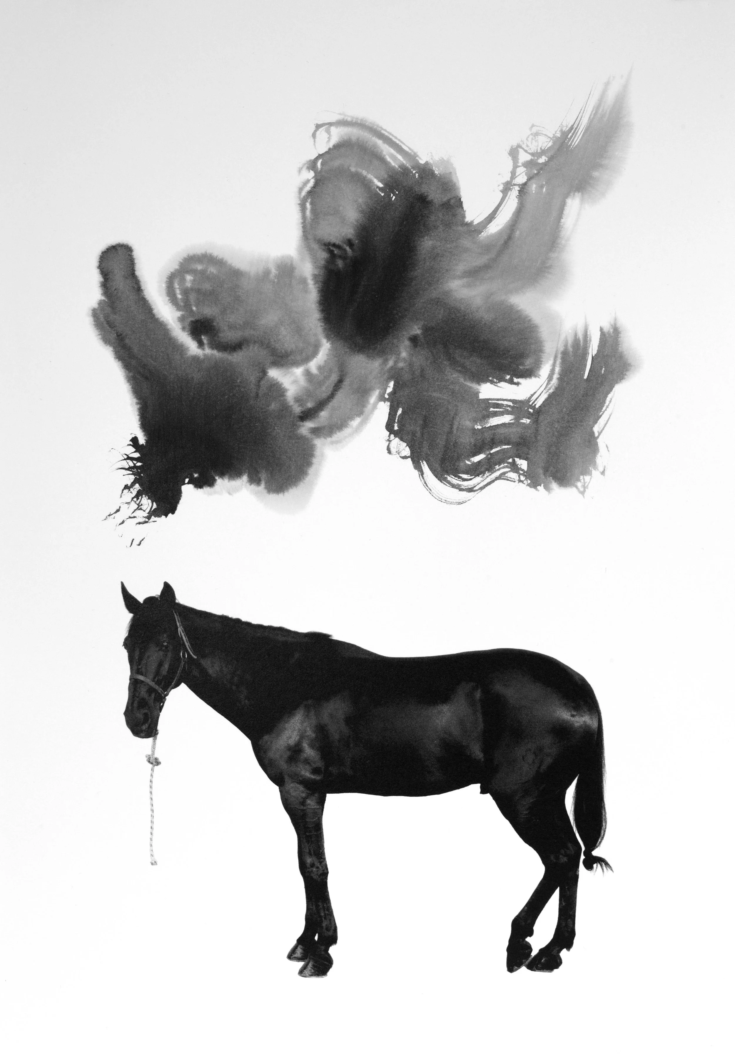 Noir 16