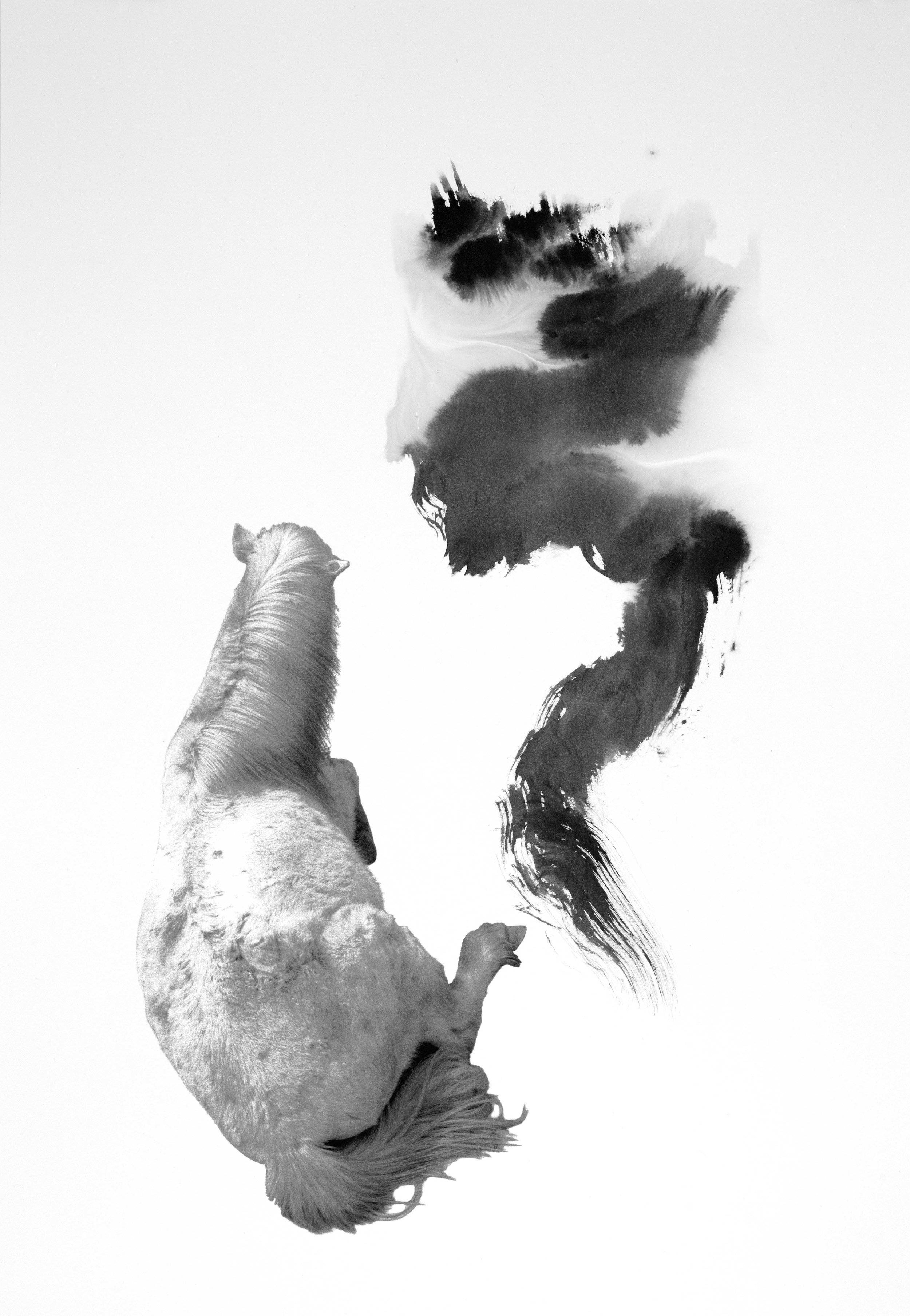 Blanc 13