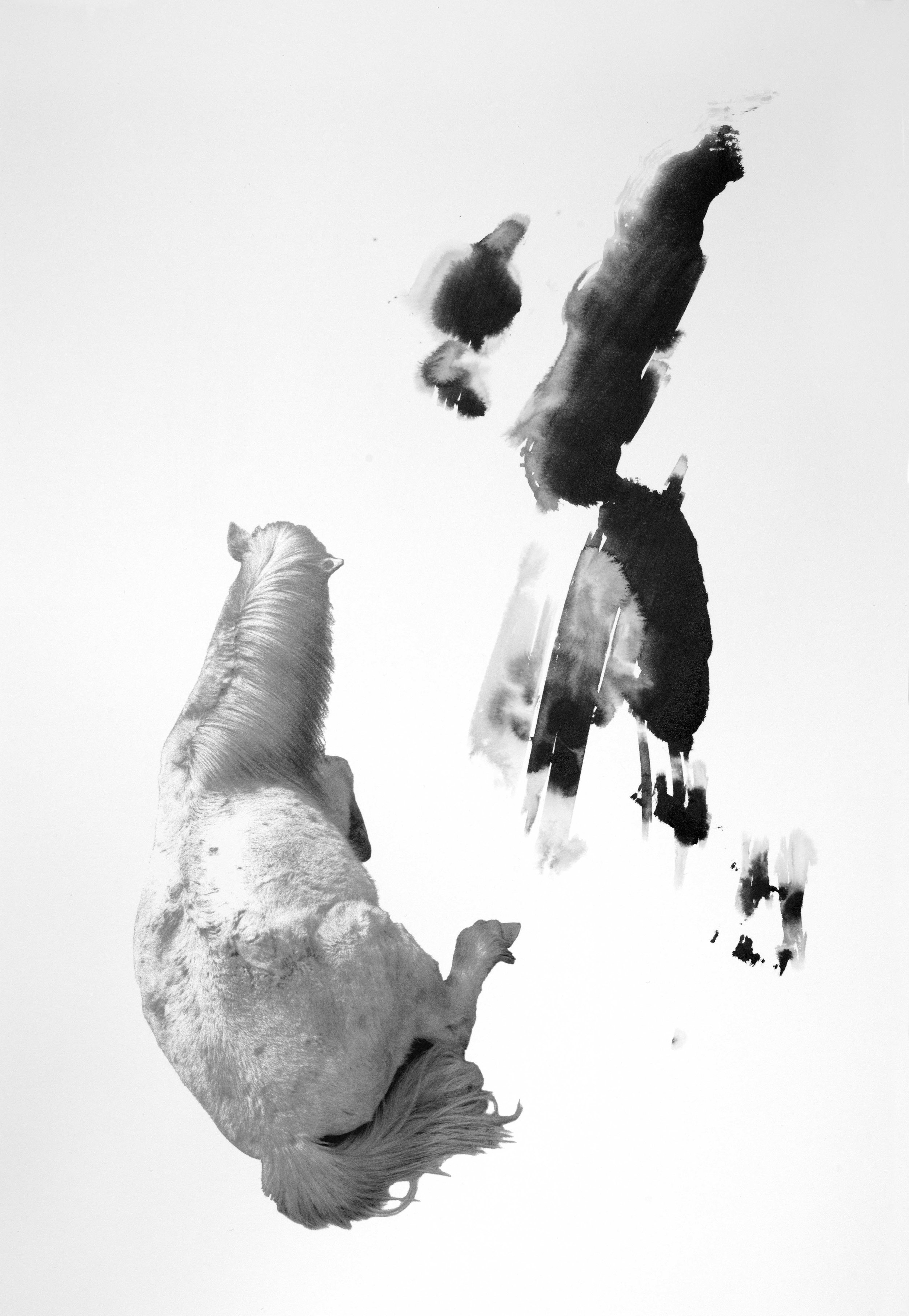 Blanc 14