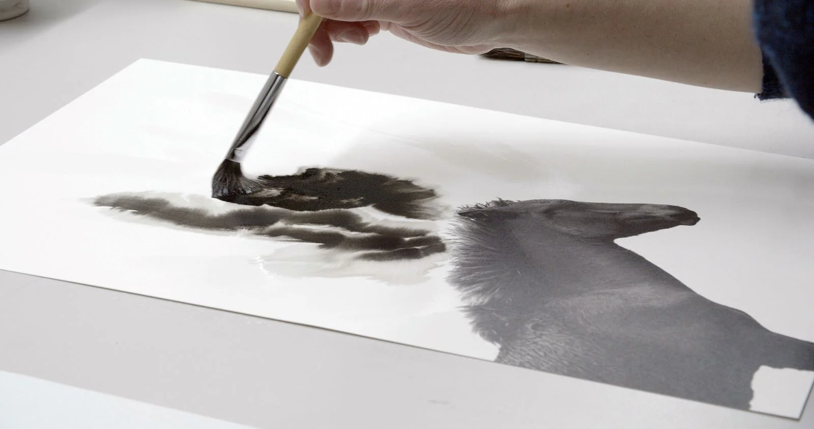 写真集　シャルロット　デュマ　Work Horse Charlotte Dumas: Work Horse