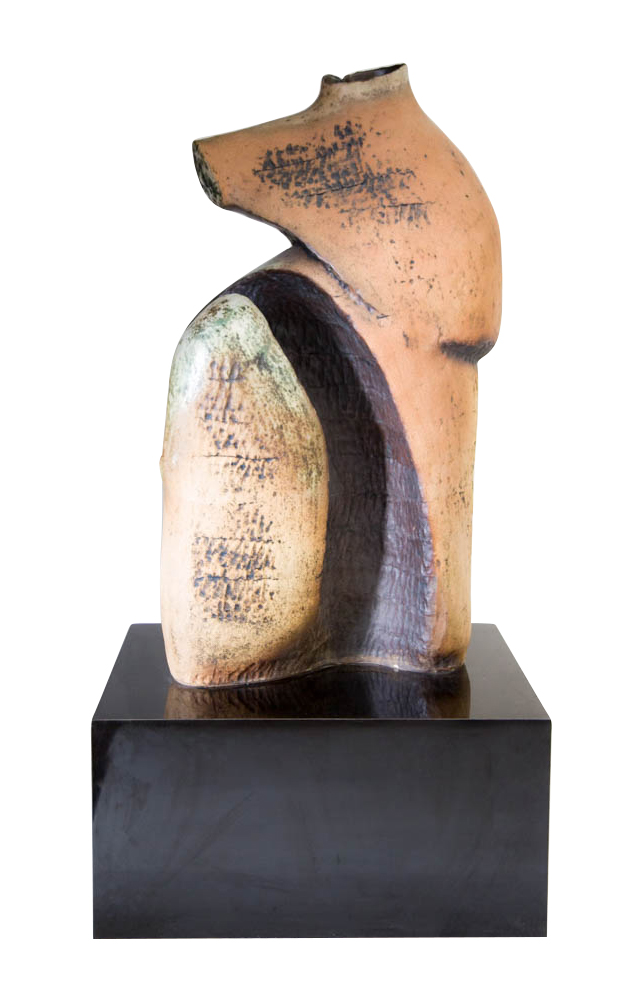 Torso.jpg