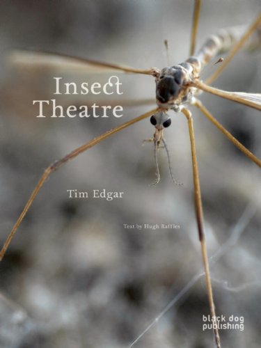 Insect Theater.jpg
