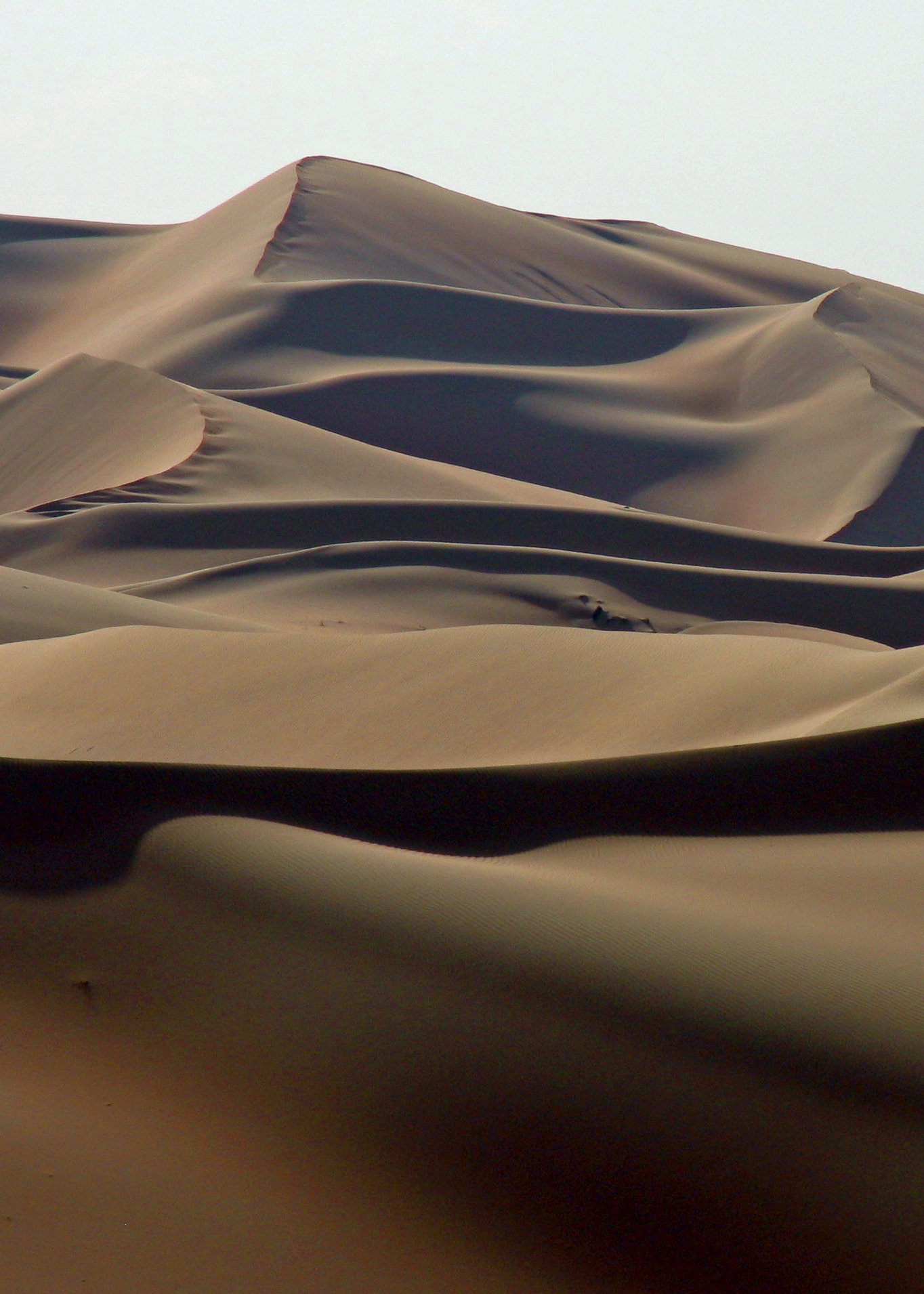 96 Dunes.UAE.jpg