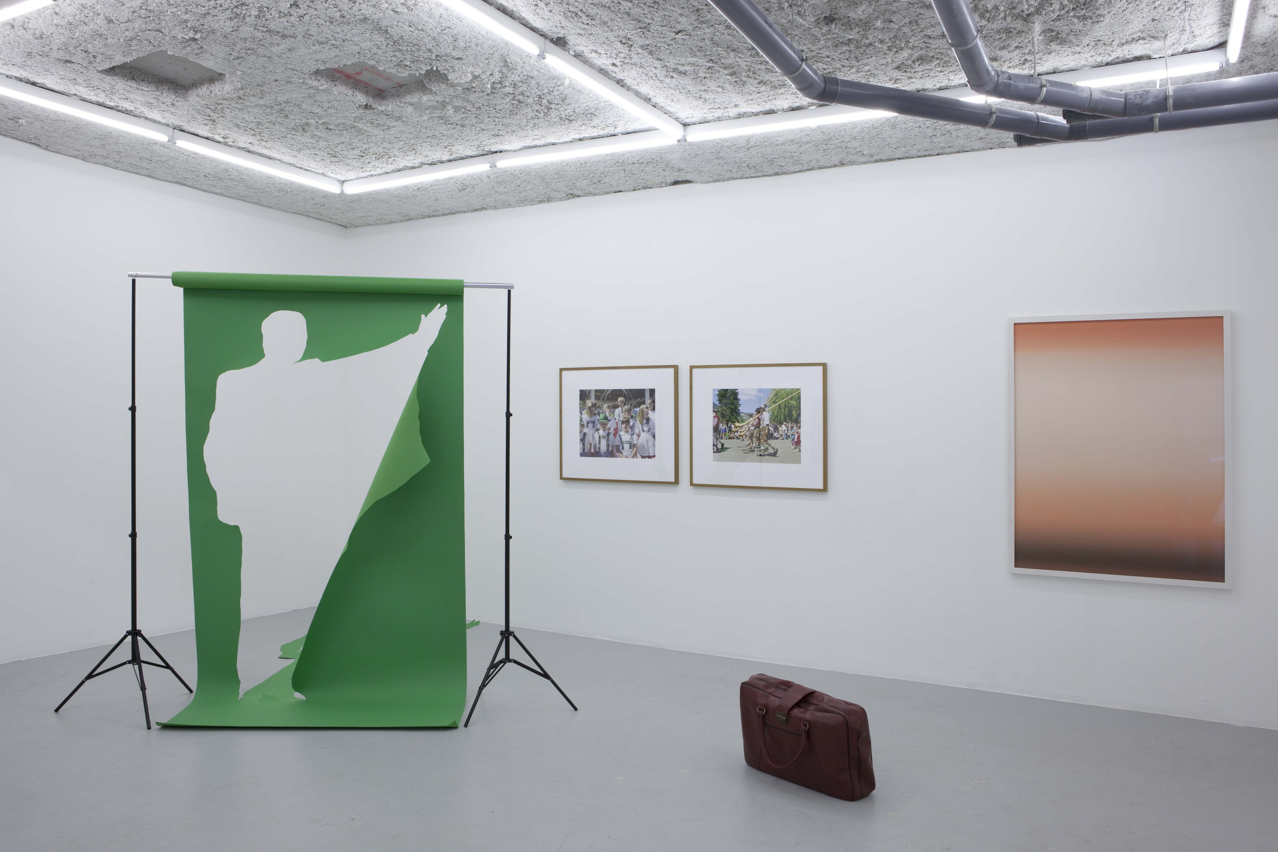 Green Screen in Before and After at Balice Hertling, Paris, 2010.jpg
