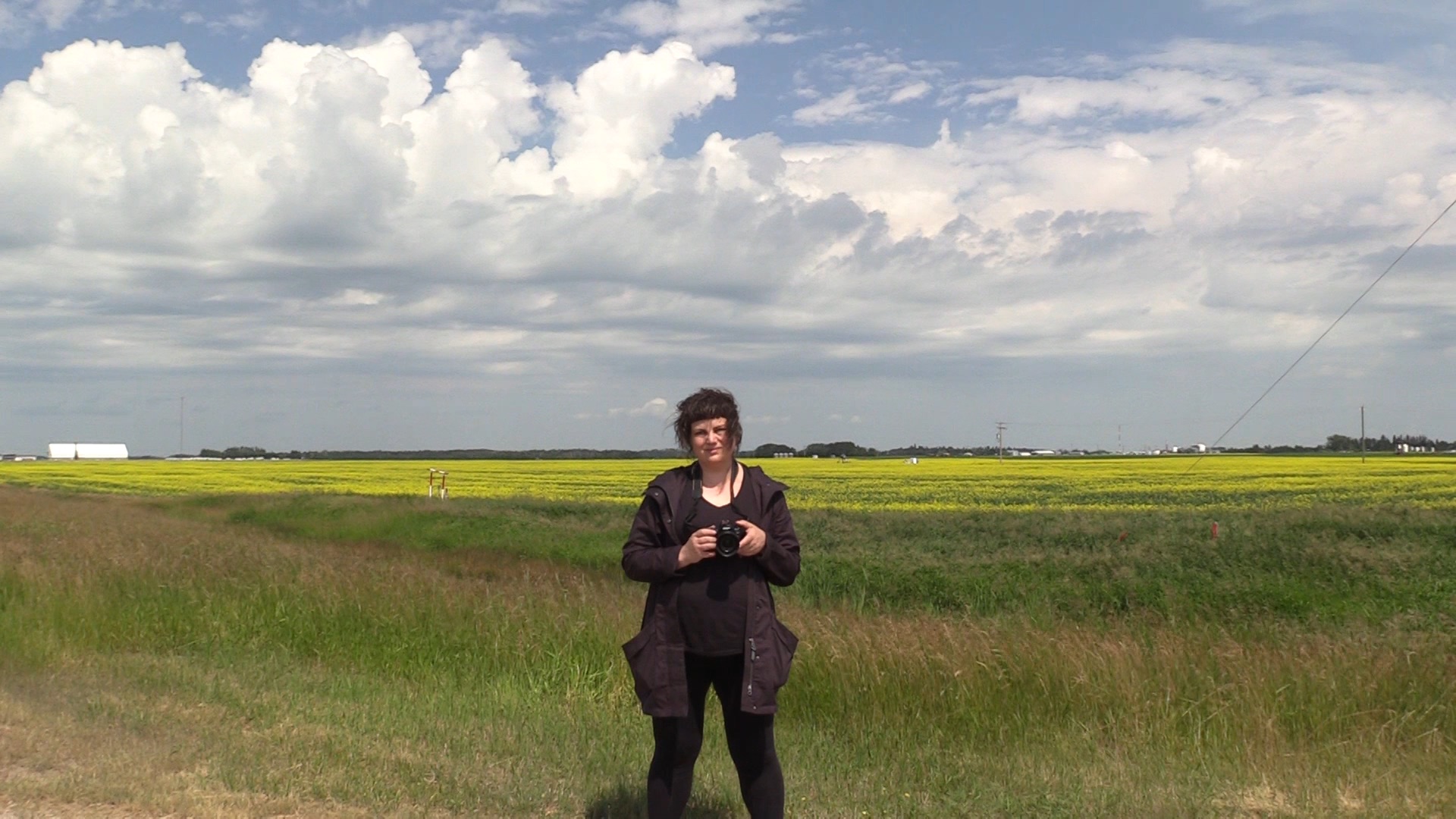 Tanya Kalmanovitch Pipeline Canola Field - Credit Tanya Kalmanovitch 2017.jpg