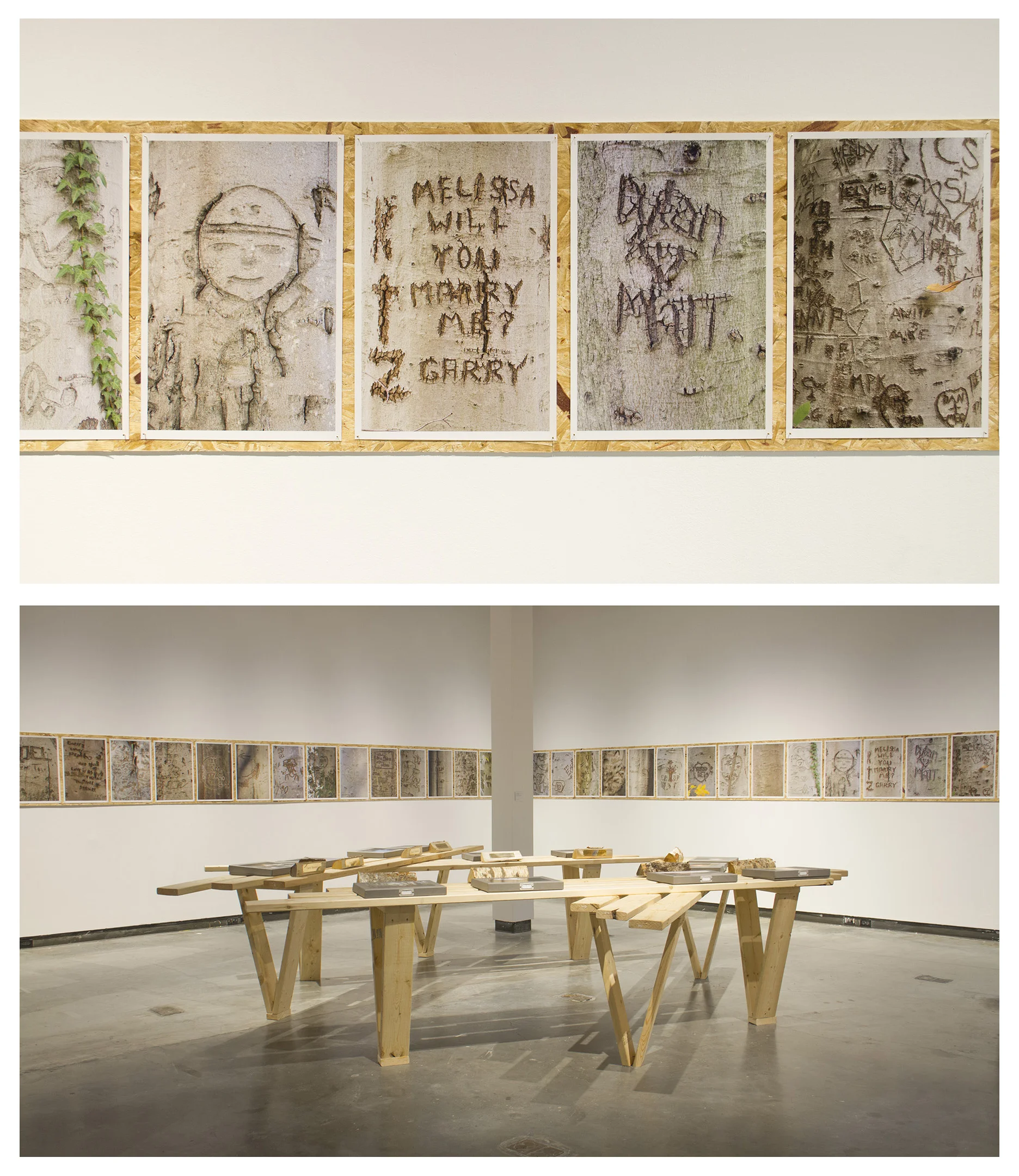 06, Matthew Jensen, Tree Love.jpg