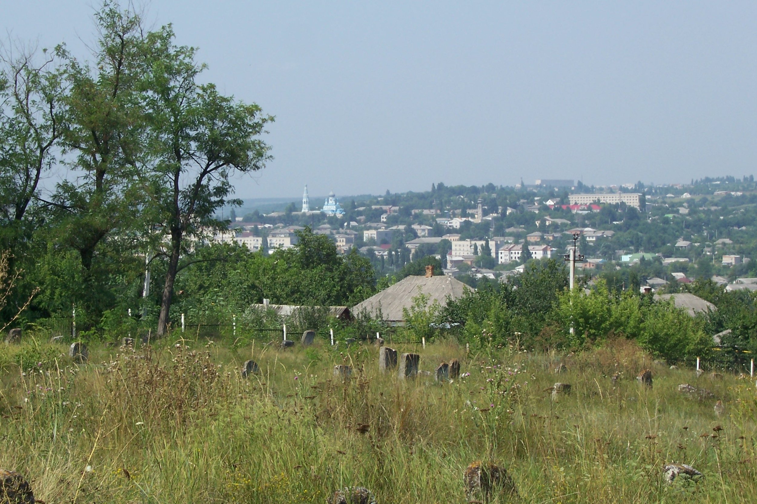 Jewish_Cemetery_in_Balta.jpg