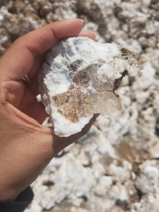 halite in hand.jpg