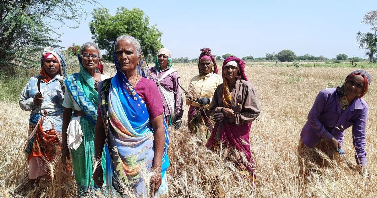 baluben makwana jai bhim mahila kheti sahakari mandali.jpg