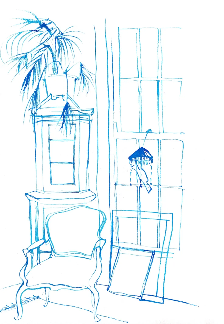 The parrot's window