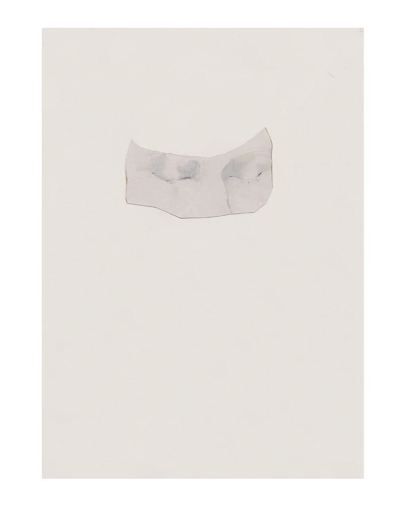 SCAN 2012