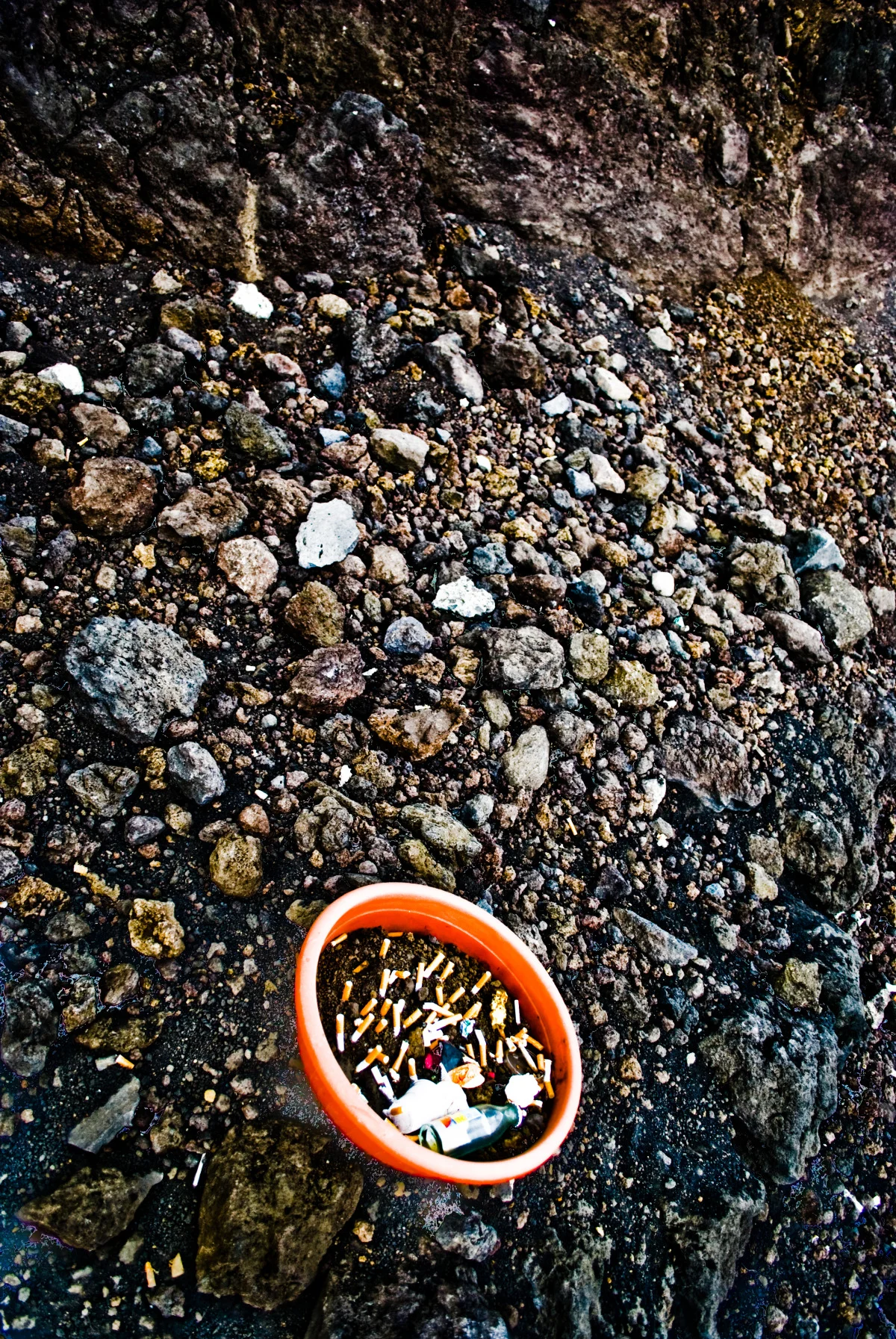 dsc_1516 copy.jpg