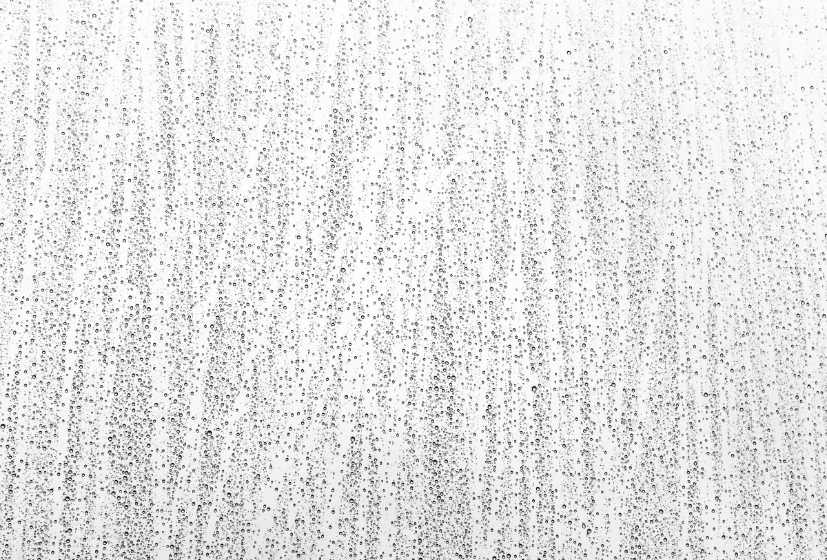 dsc_0734 copy 2_1.jpg