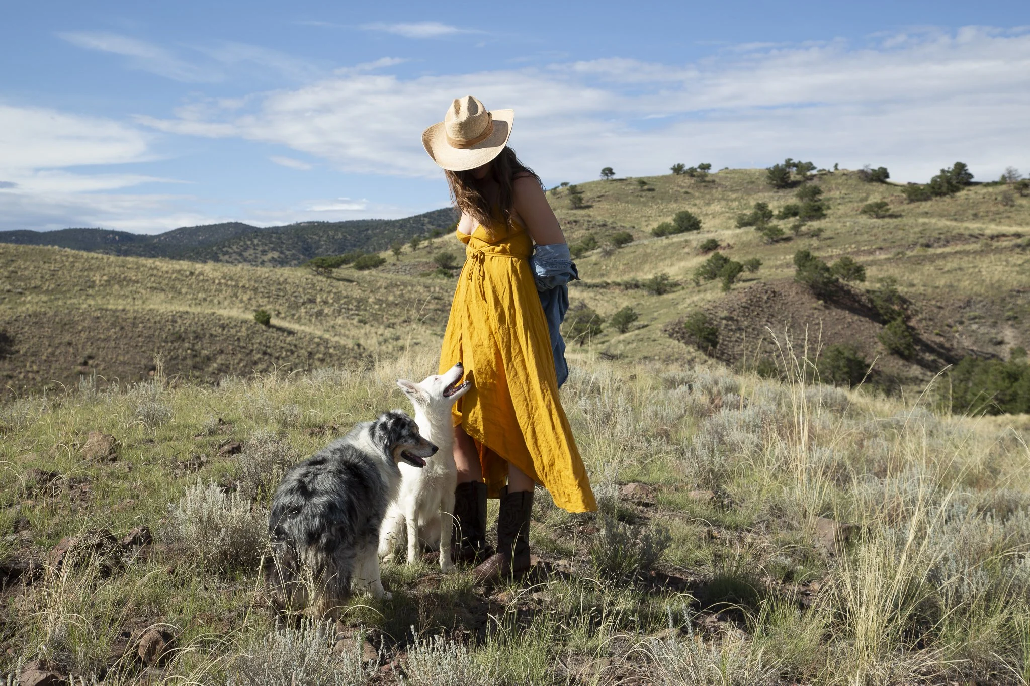 LonewolfCollectiveWildWestCowDogsCowboyBoots