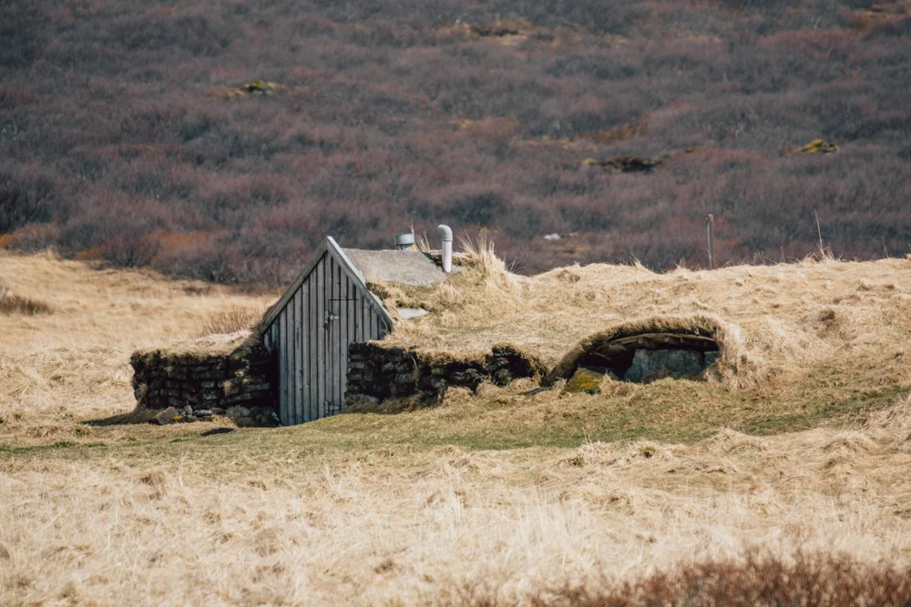 iceland_sandynoto-31.jpg