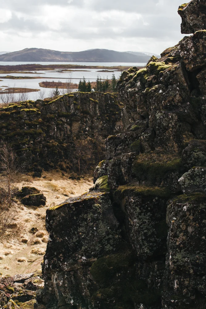 iceland_sandynoto-33.jpg