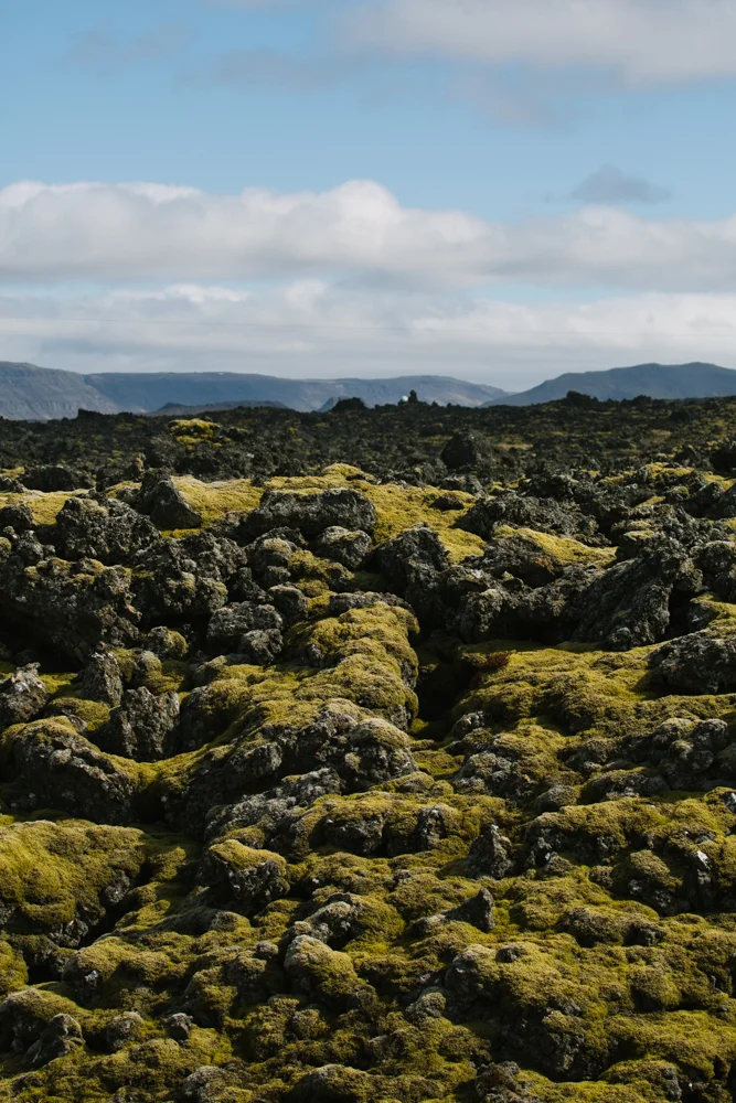 iceland_sandynoto-96.jpg
