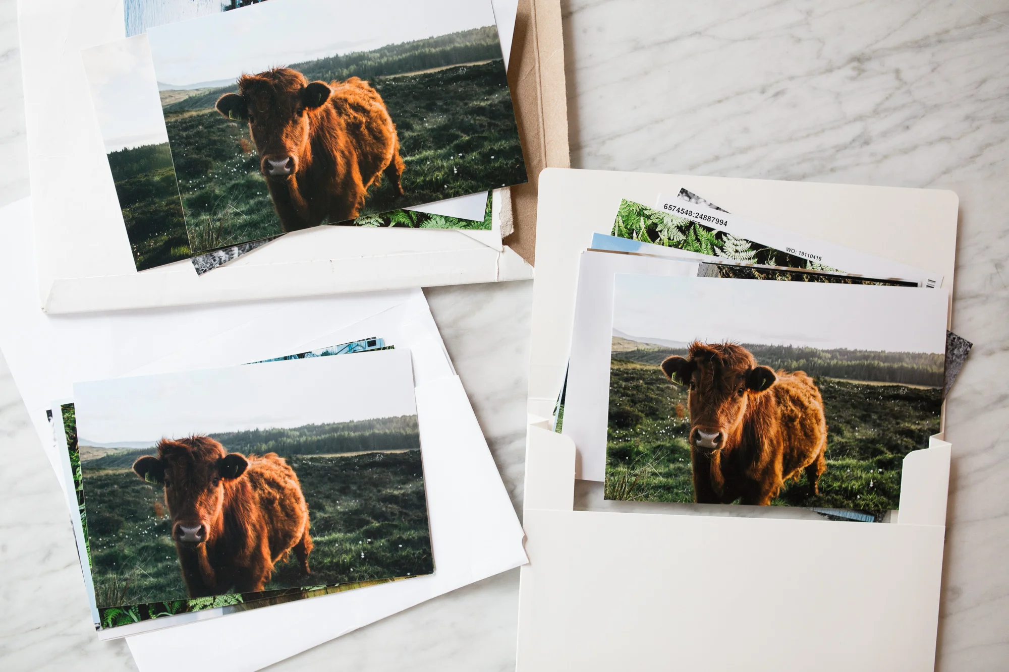 Where to Order Photo Prints Online — Sandy Noto