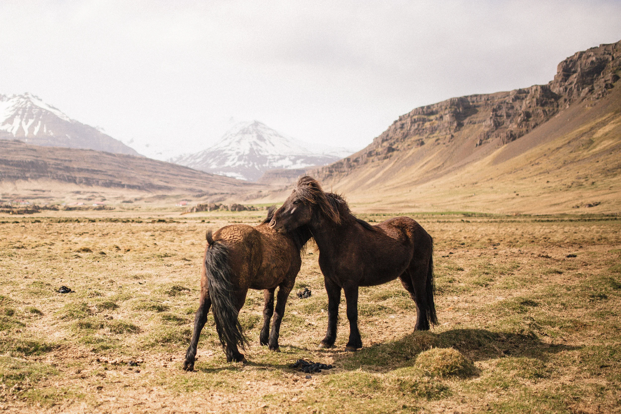 iceland_sandynoto-11.jpg