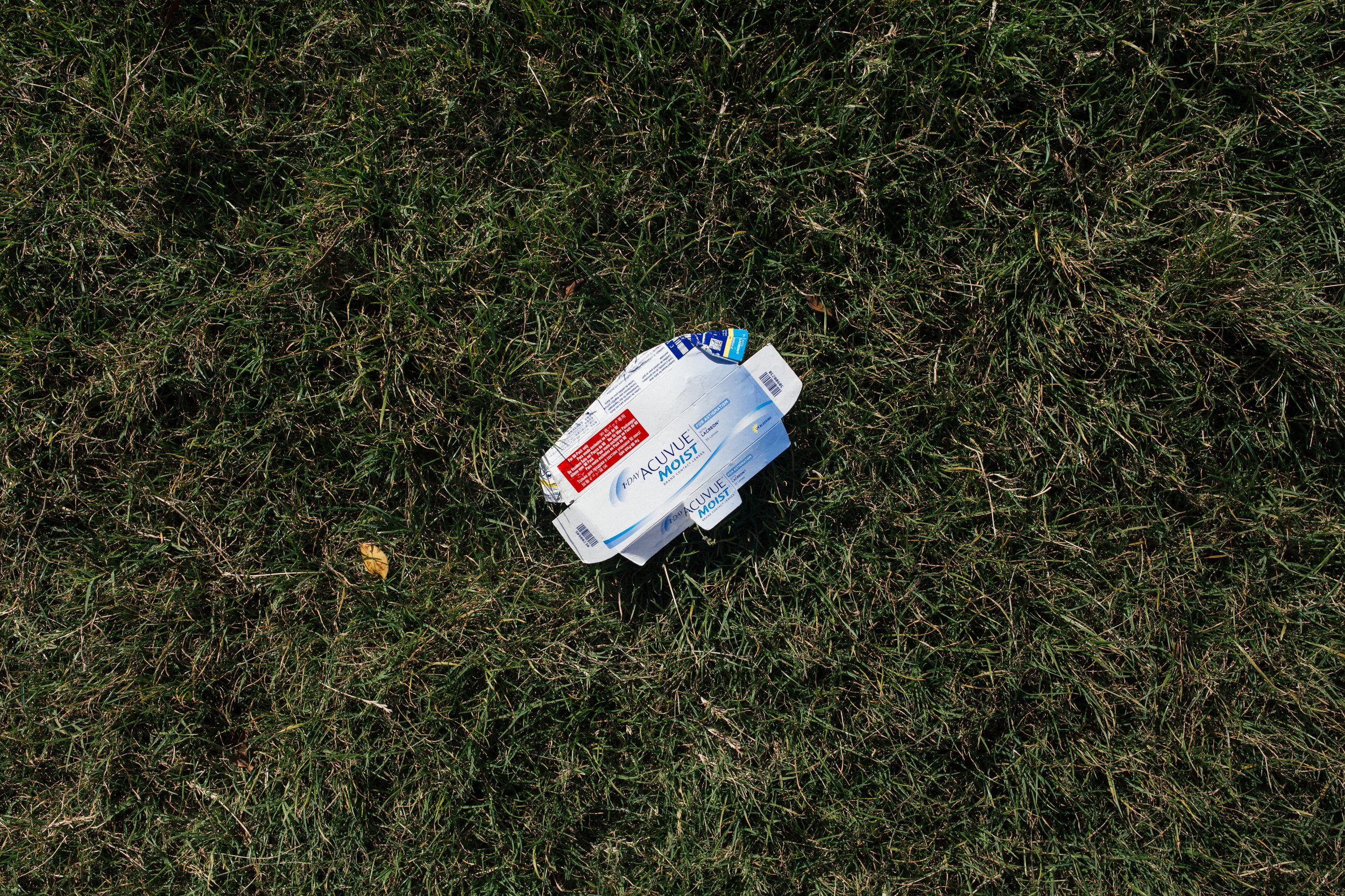 trashy_sandynoto-9.jpg