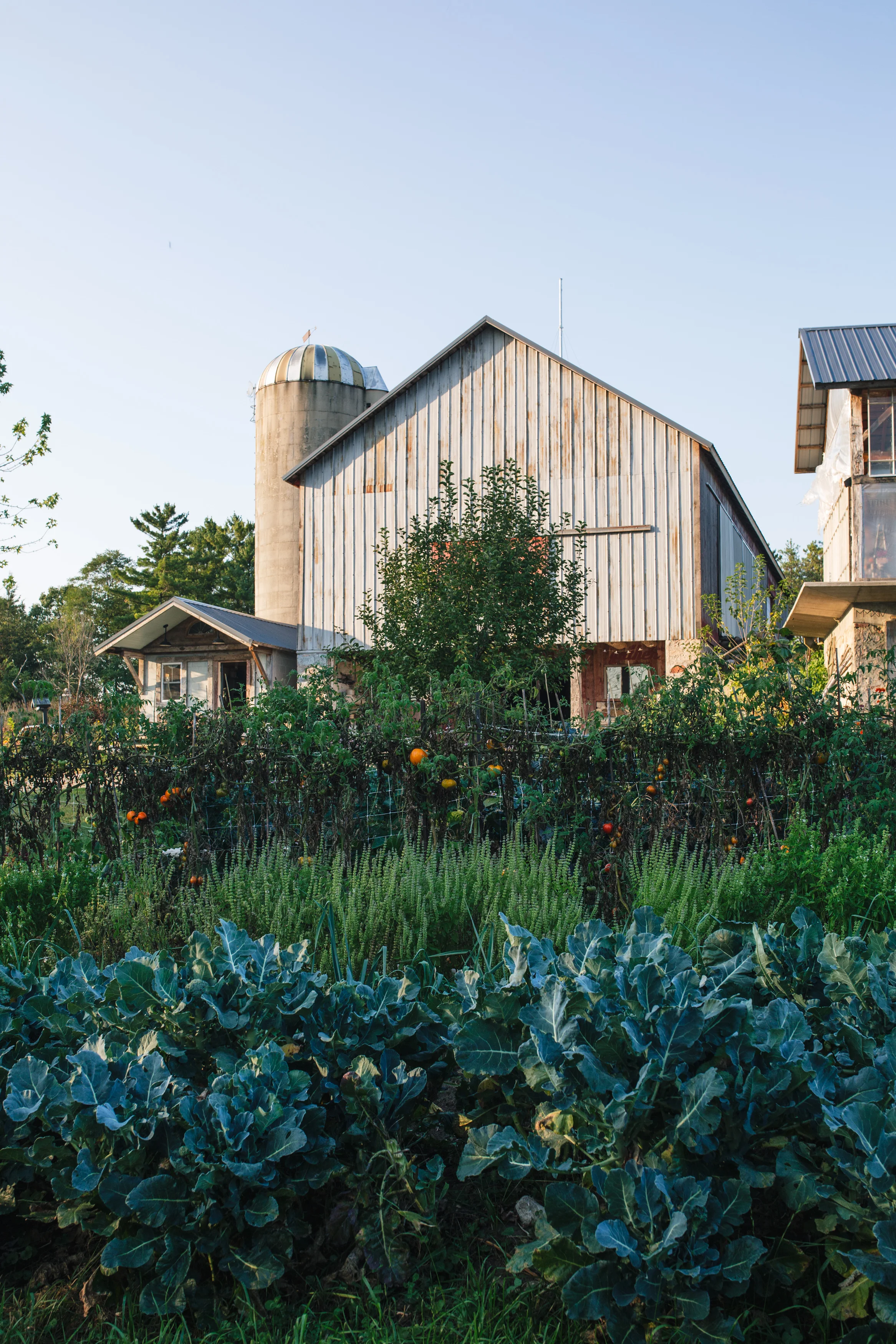 Travel photography. Wisconsin farm.