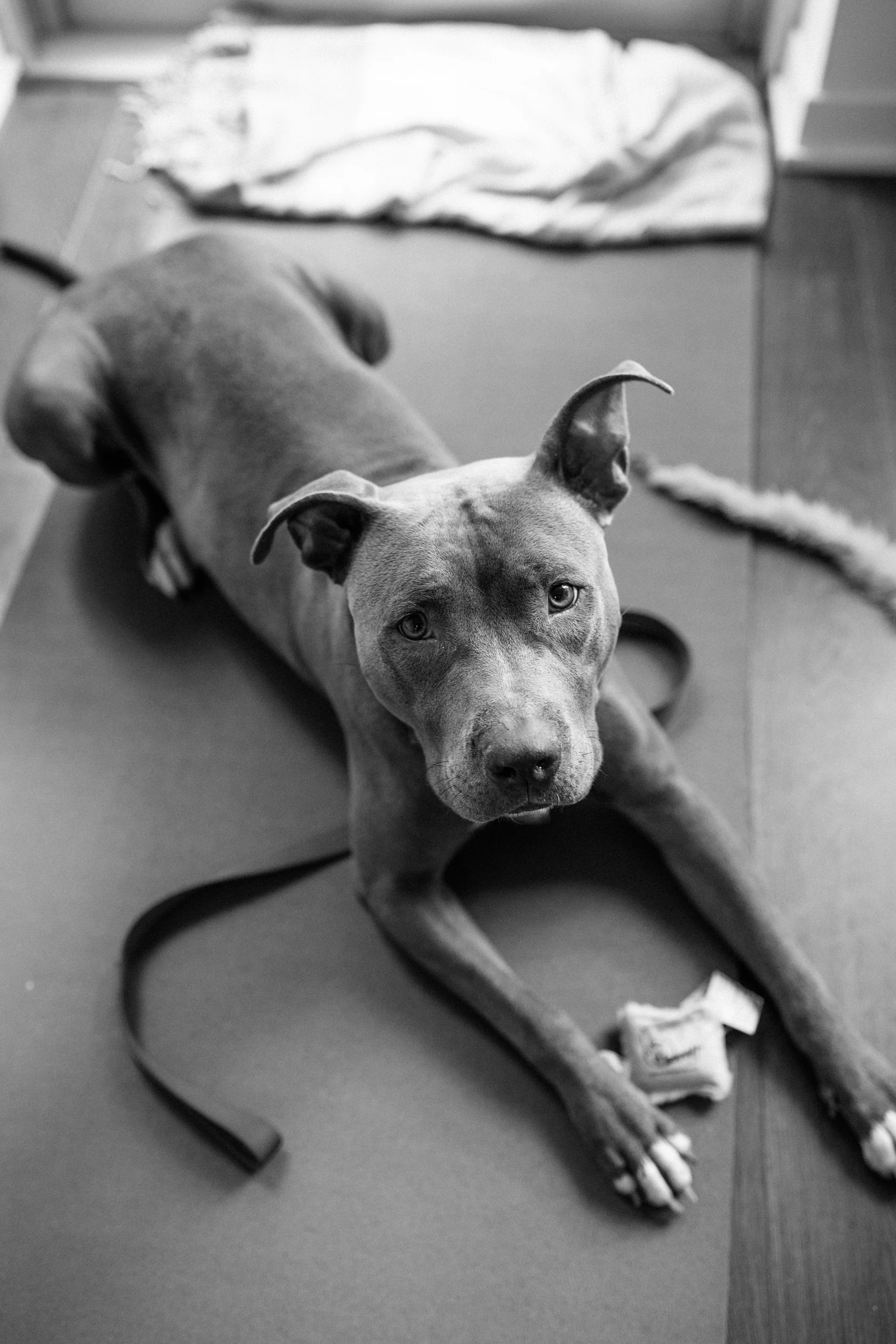 gertie_sandynoto-67.jpg