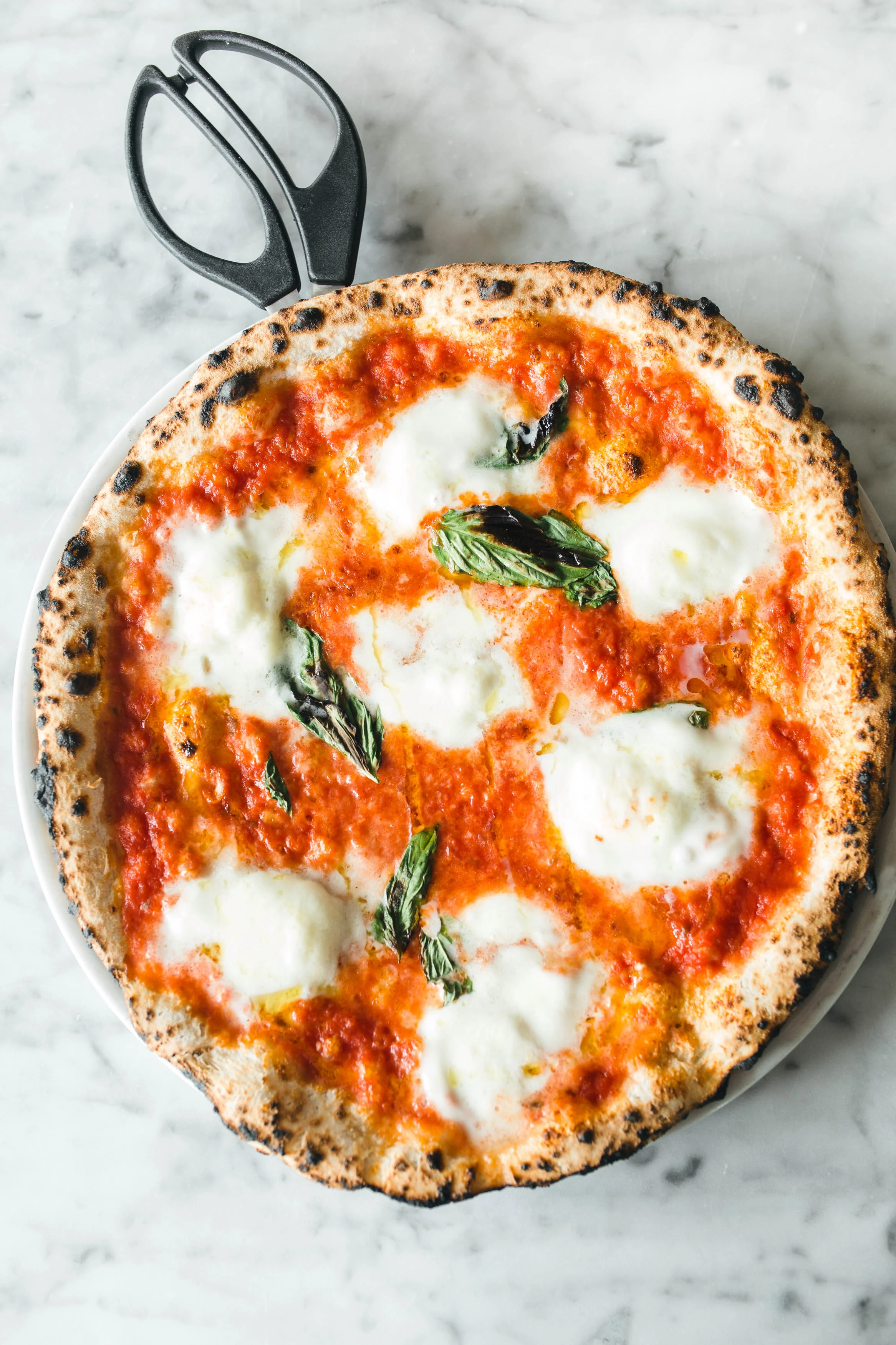 Food photography: on the table at Coda di Volpe in Chicago