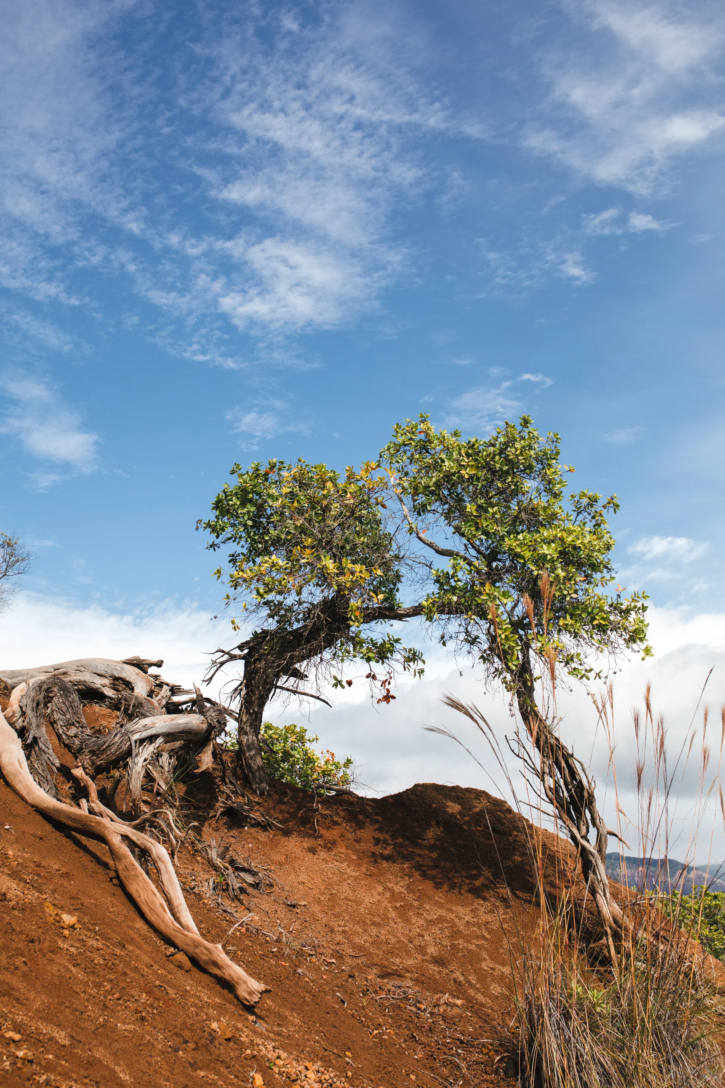 Travel Photography in Hawaii