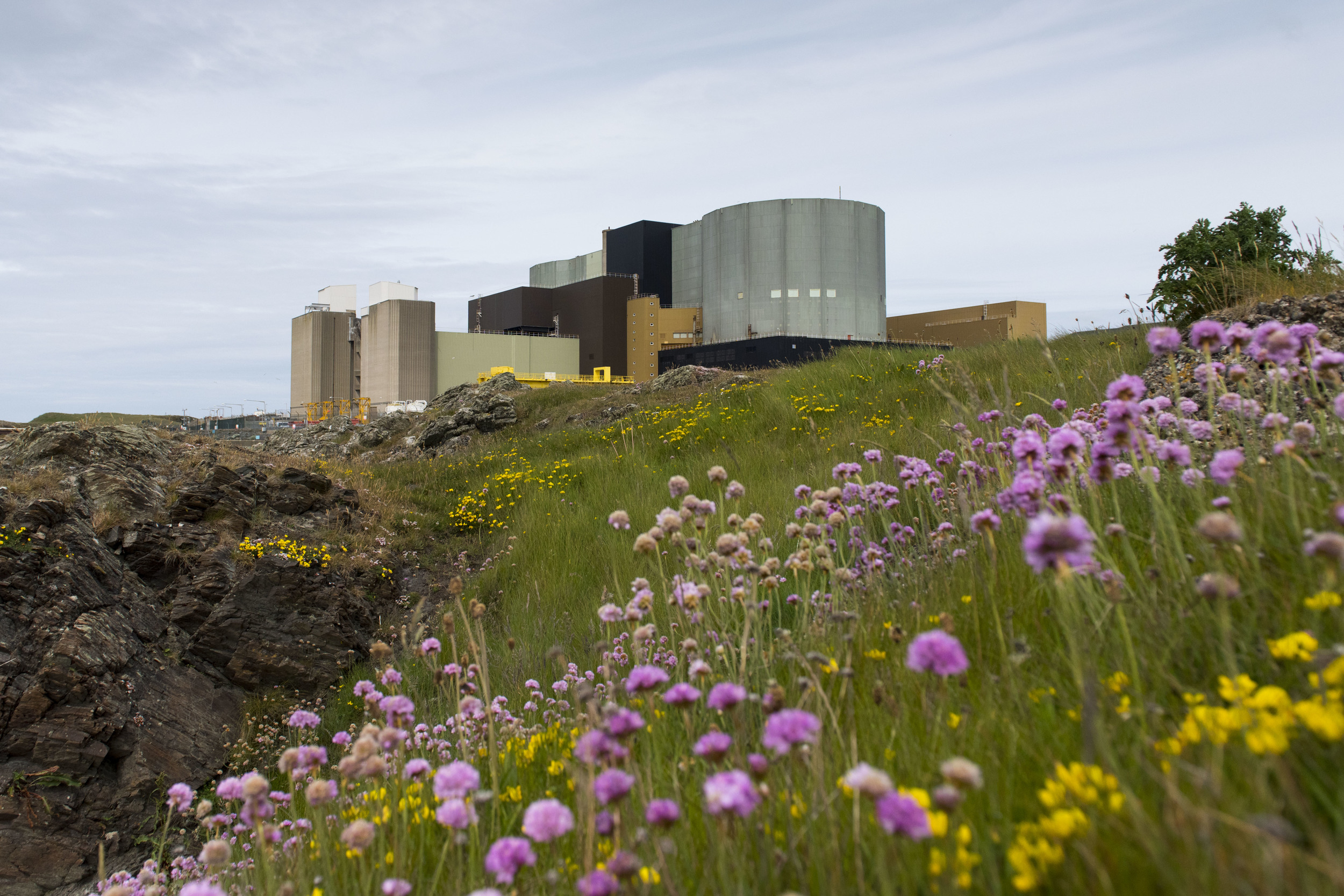 Wylfa Nuclear Power Station