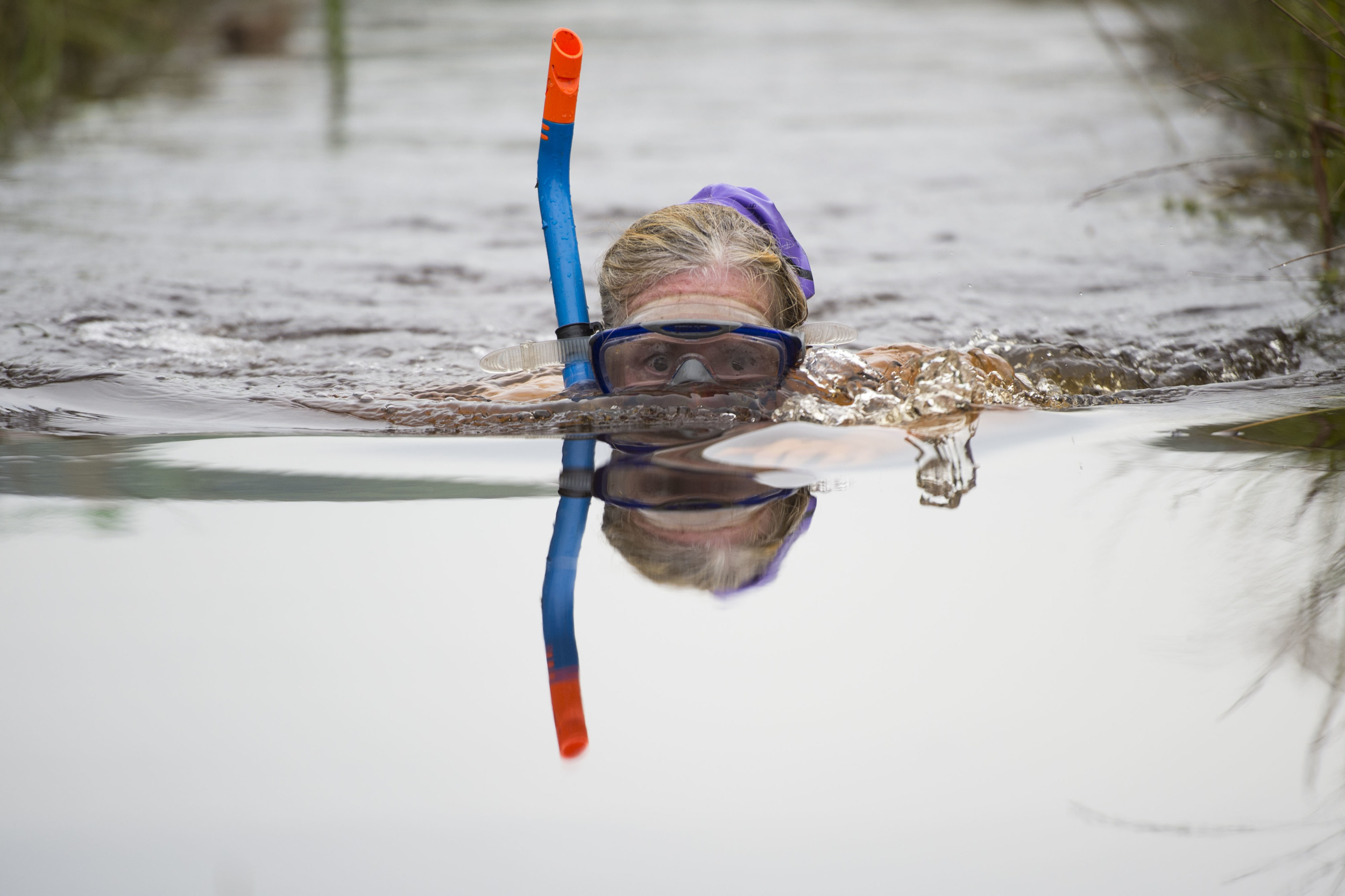 bog_snorkelling