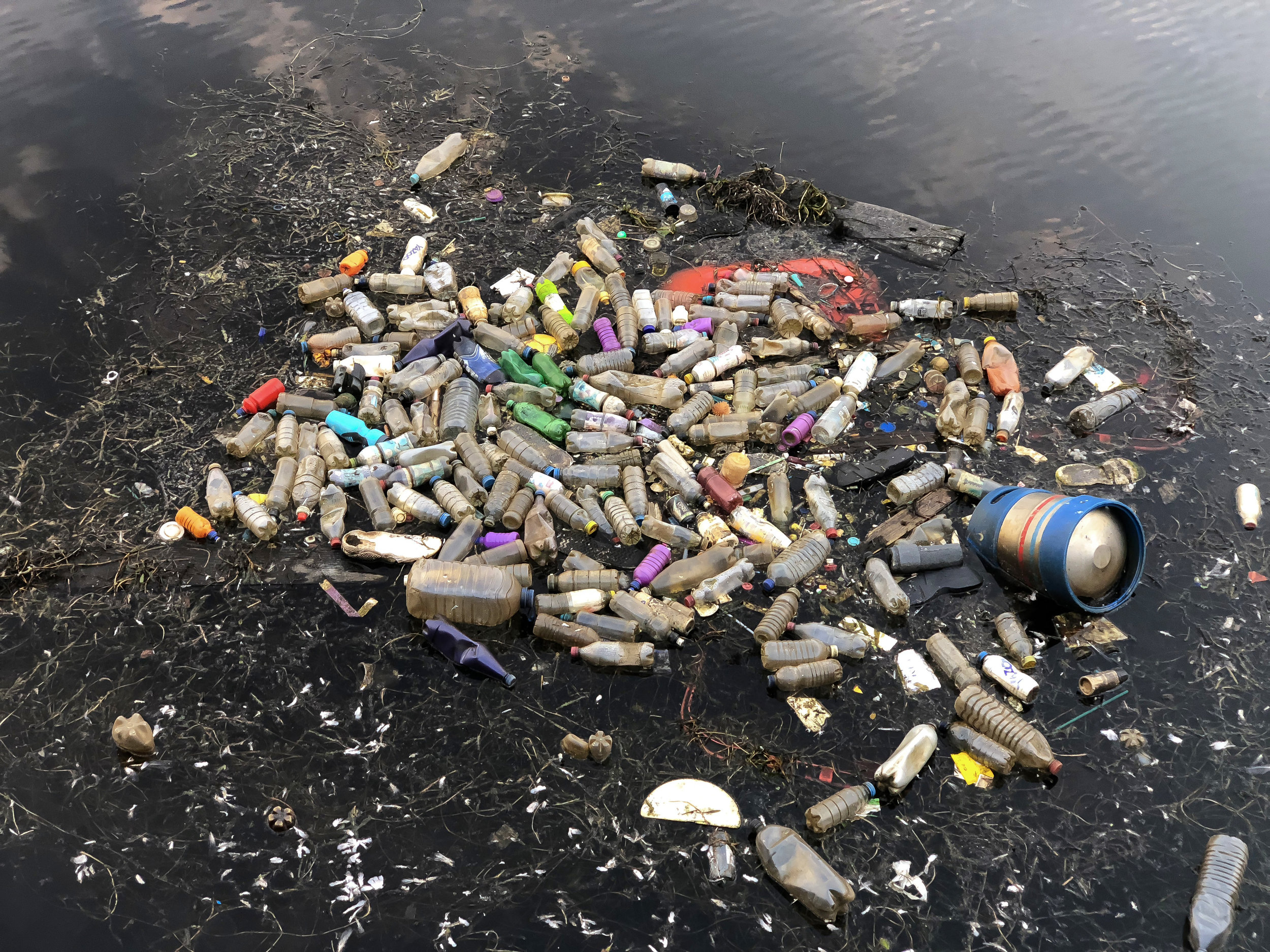  Plastic bottles in Cardiff Bay. 