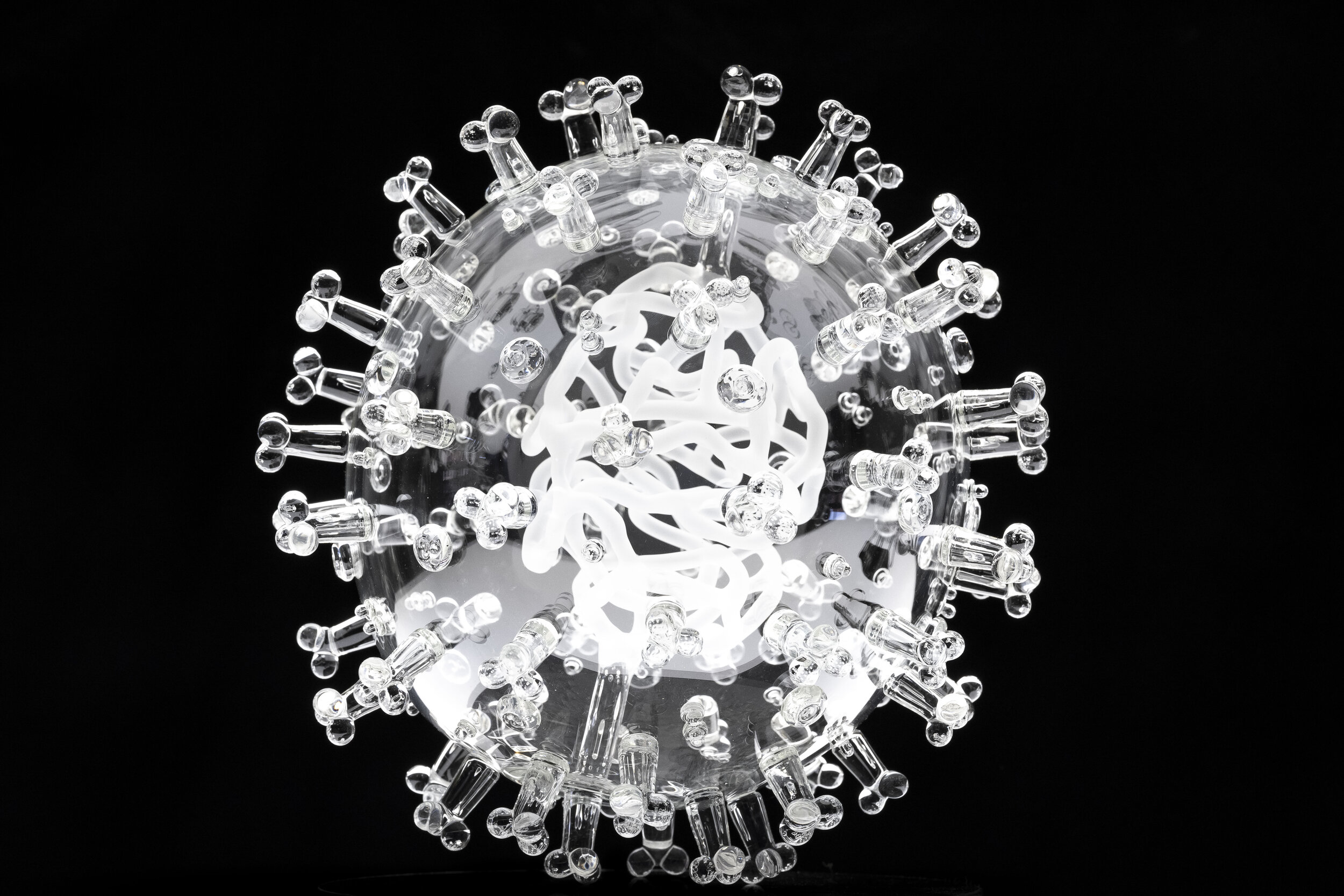coronavirus and vaccine artwork