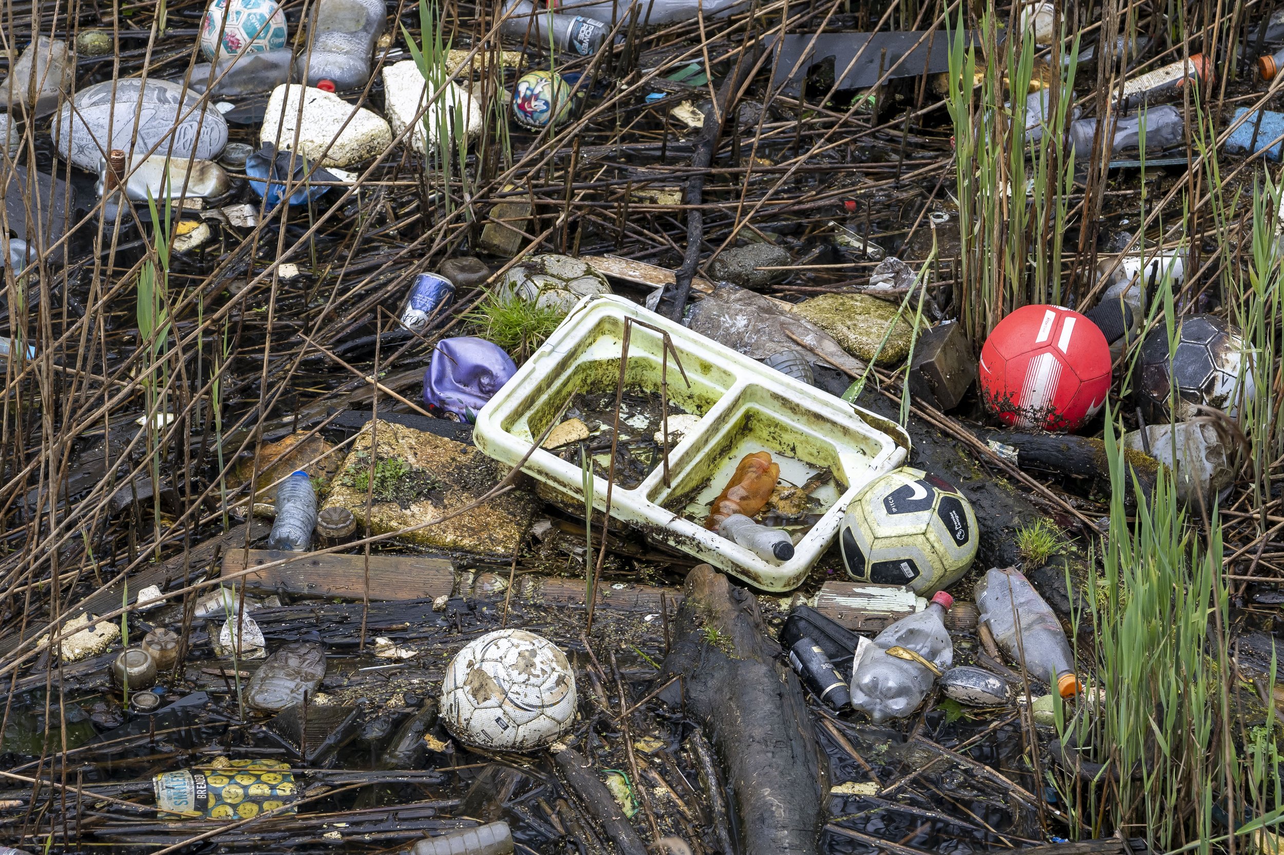 river taff pollution