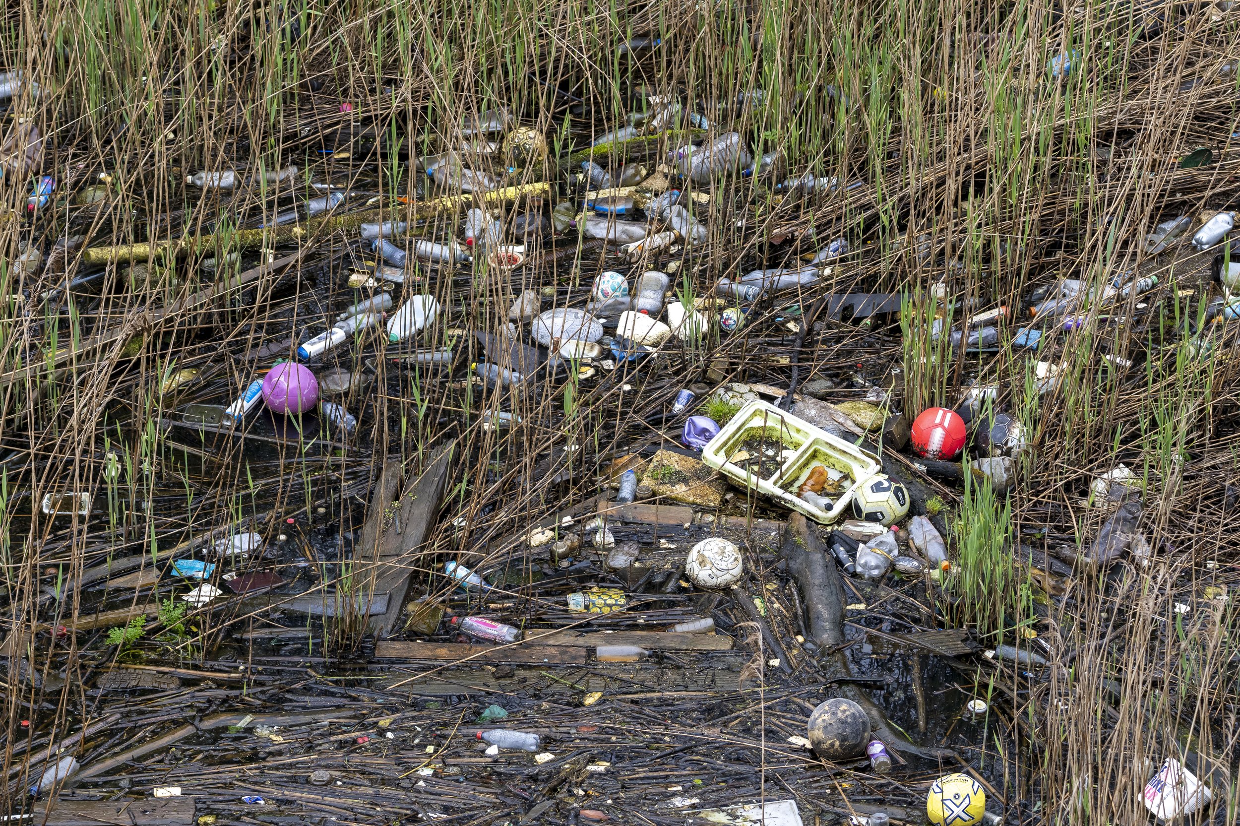 river taff pollution