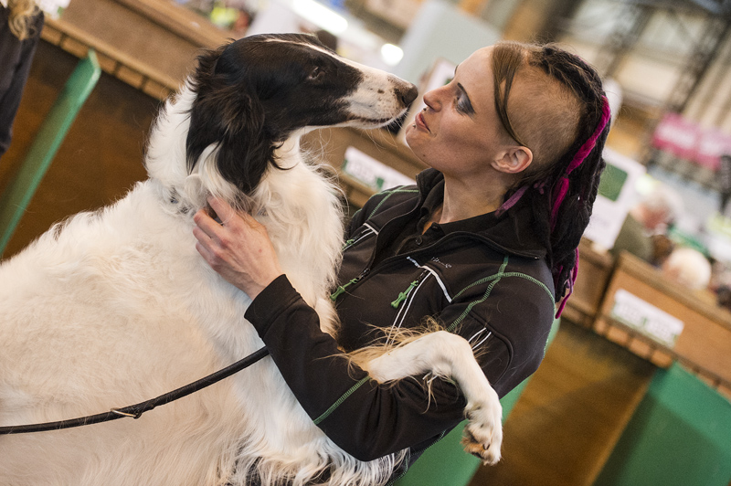 Crufts 2015 - Day 3