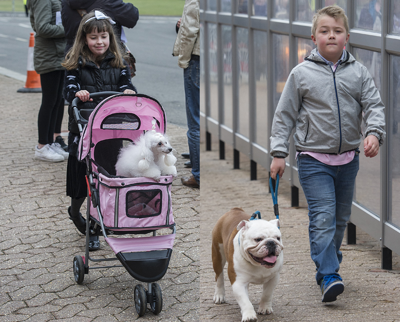Crufts 2015 - Day 4