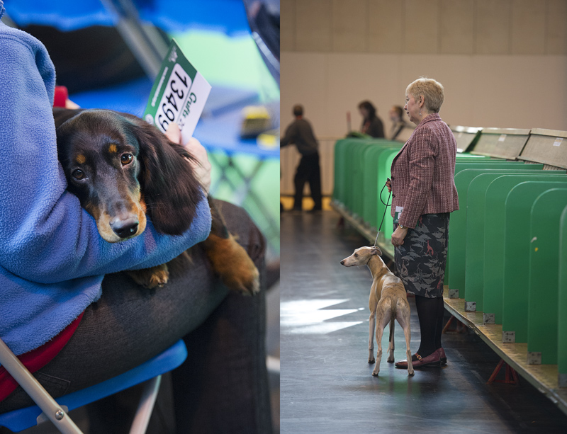 Crufts 2015 - Day 3