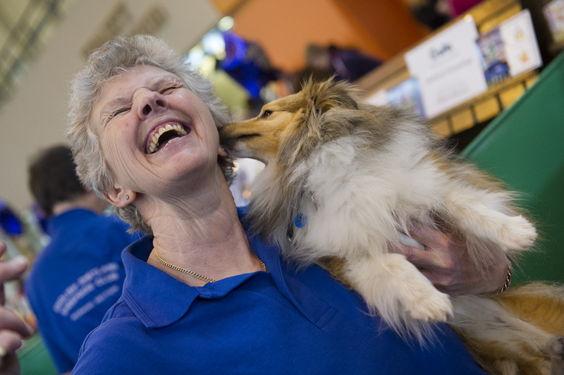 Crufts 2015 - Day 3