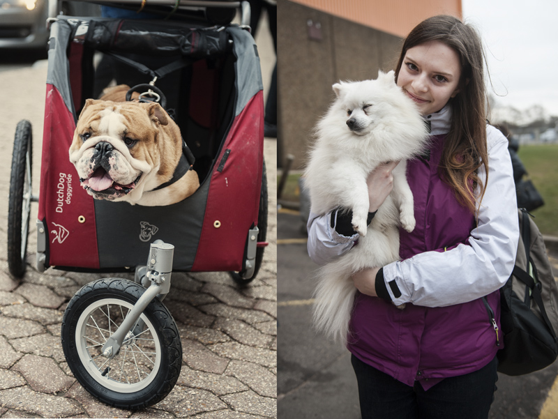 Crufts 2015 - Day 4