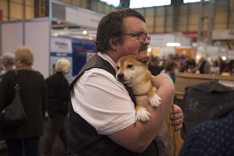 Crufts 2015 - Day 4