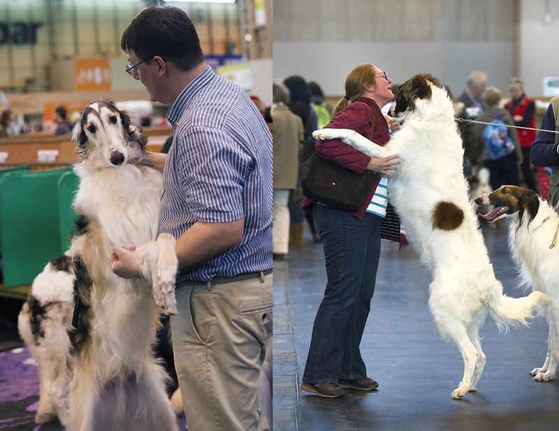 Crufts 2015 - Day 3