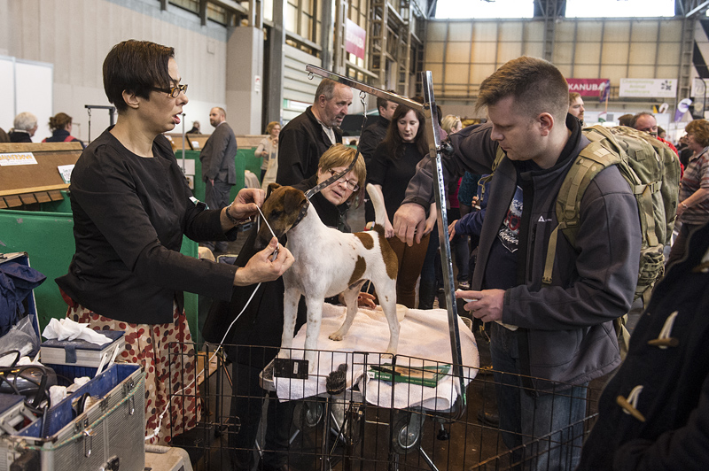 Crufts 2015 - Day 3