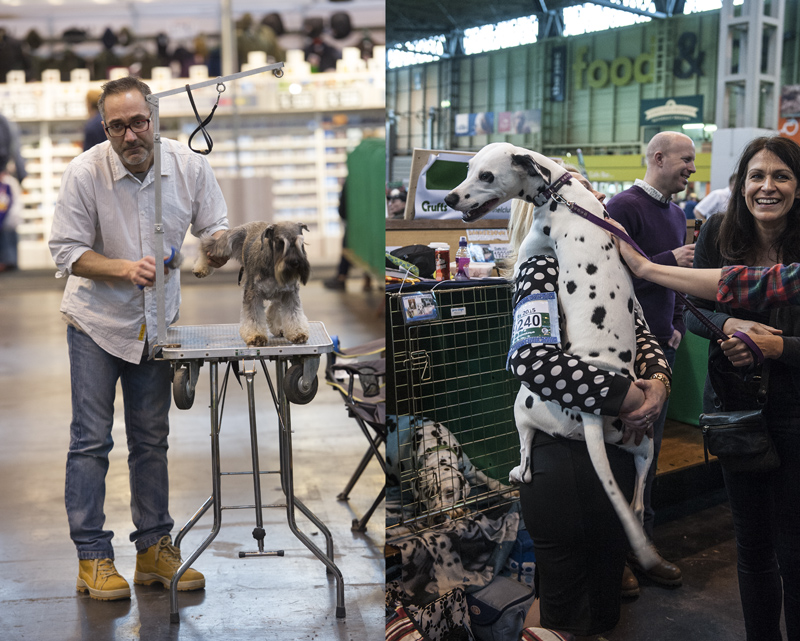 Crufts 2015 - Day 4