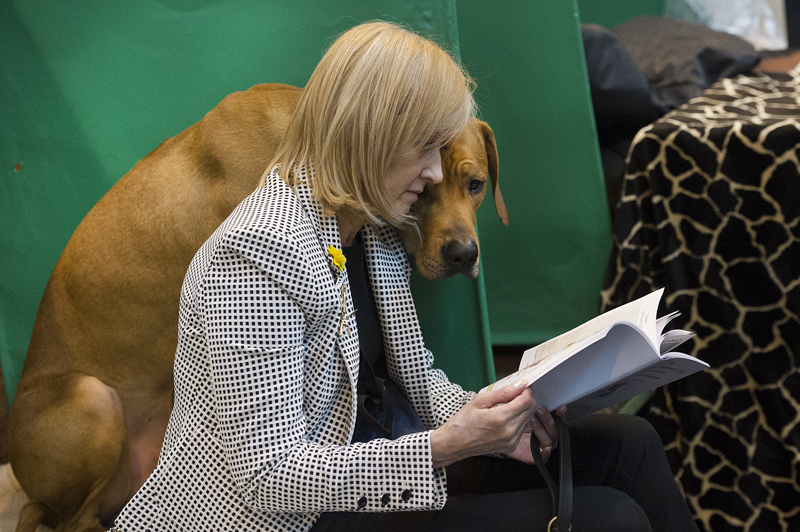 Crufts 2015 - Day 3