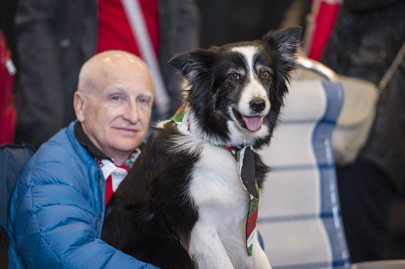 Crufts 2015 - Day 4