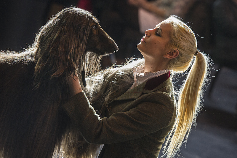 Crufts 2015 - Day 3